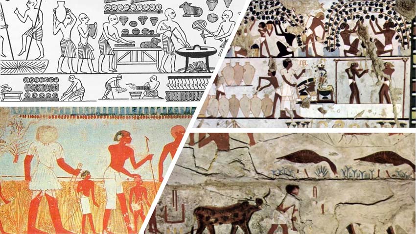 La storia della Dieta Mediterranea: gli antichi Egizi