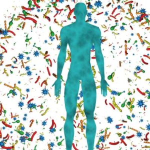 Chi protegge il microbiota protegge un tesoro