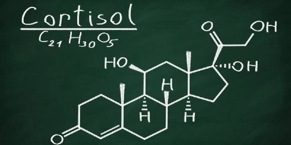 “Il cortisolo: quali sono gli effetti e come lo si puo’ controllare?”