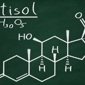 Il cortisolo: gli effetti sul peso e qualche consiglio nutrizionale