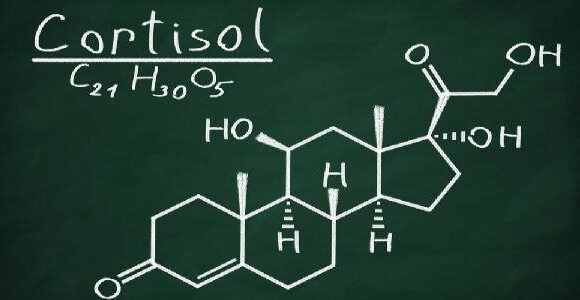 Il cortisolo: gli effetti sul peso e qualche consiglio nutrizionale